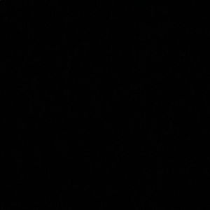 Meet your Posher, Kylie